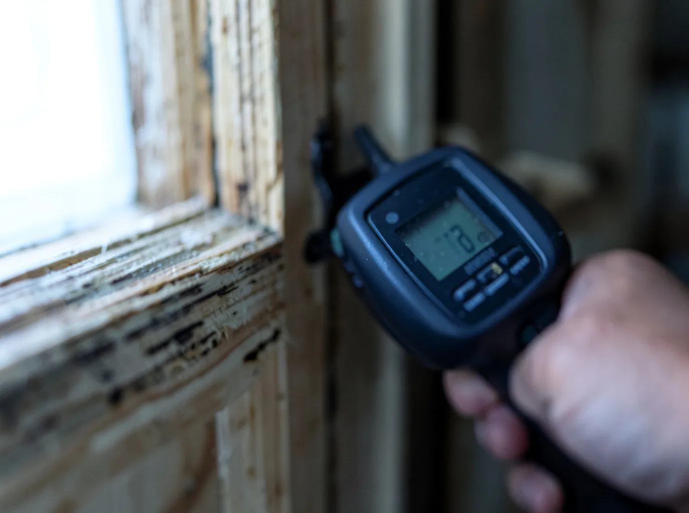 Commercial Water Damage Restoration in Troy, TN